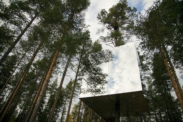 Treehotel: Recline in Pine - NOWNESS